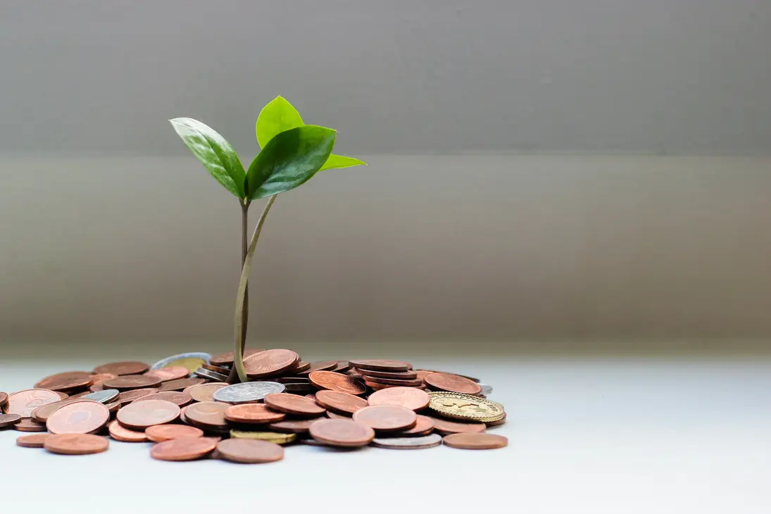 photographie d'une jeune plante poussant a travers des pieces de monnaie